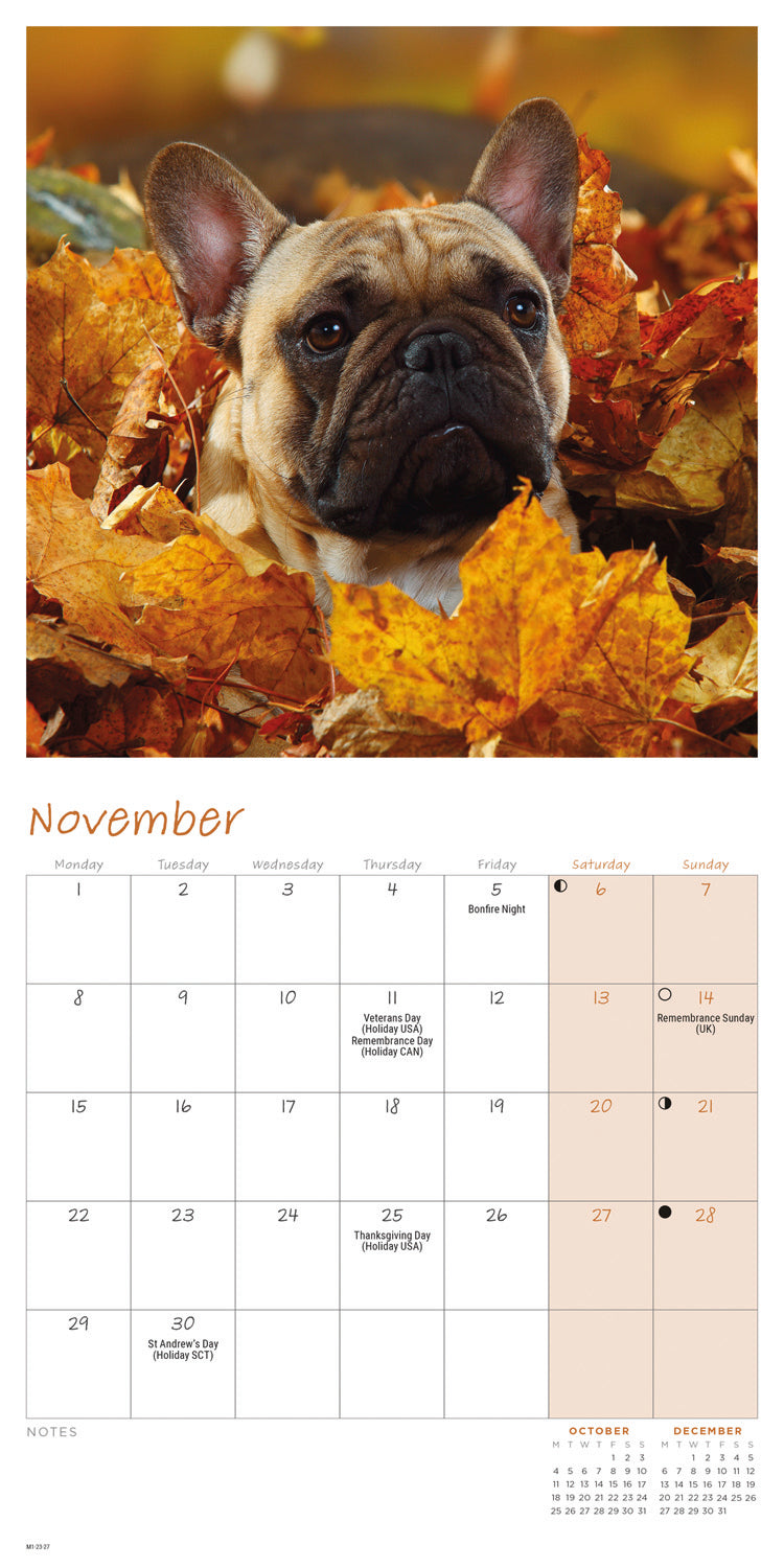 French Bulldogs Mini Calendar 2027
