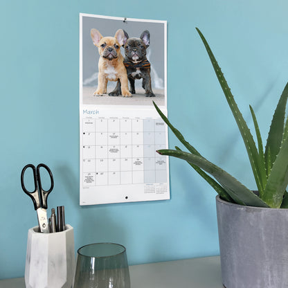 French Bulldogs Mini Calendar 2027