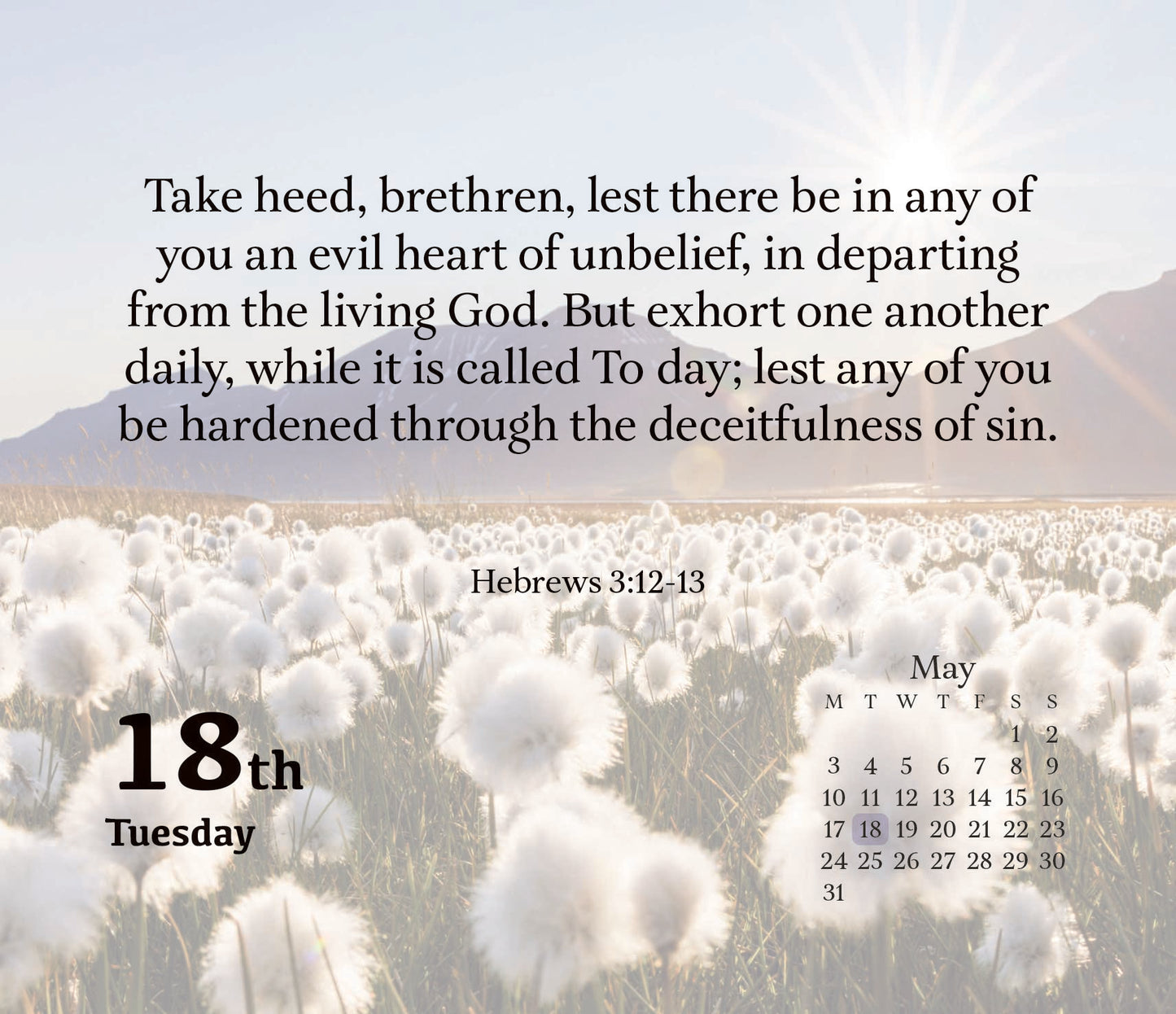 Bible Verses Box Calendar 2027