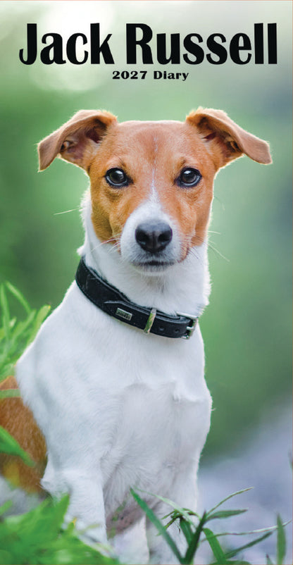 Jack Russell Terriers Slim Diary 2027