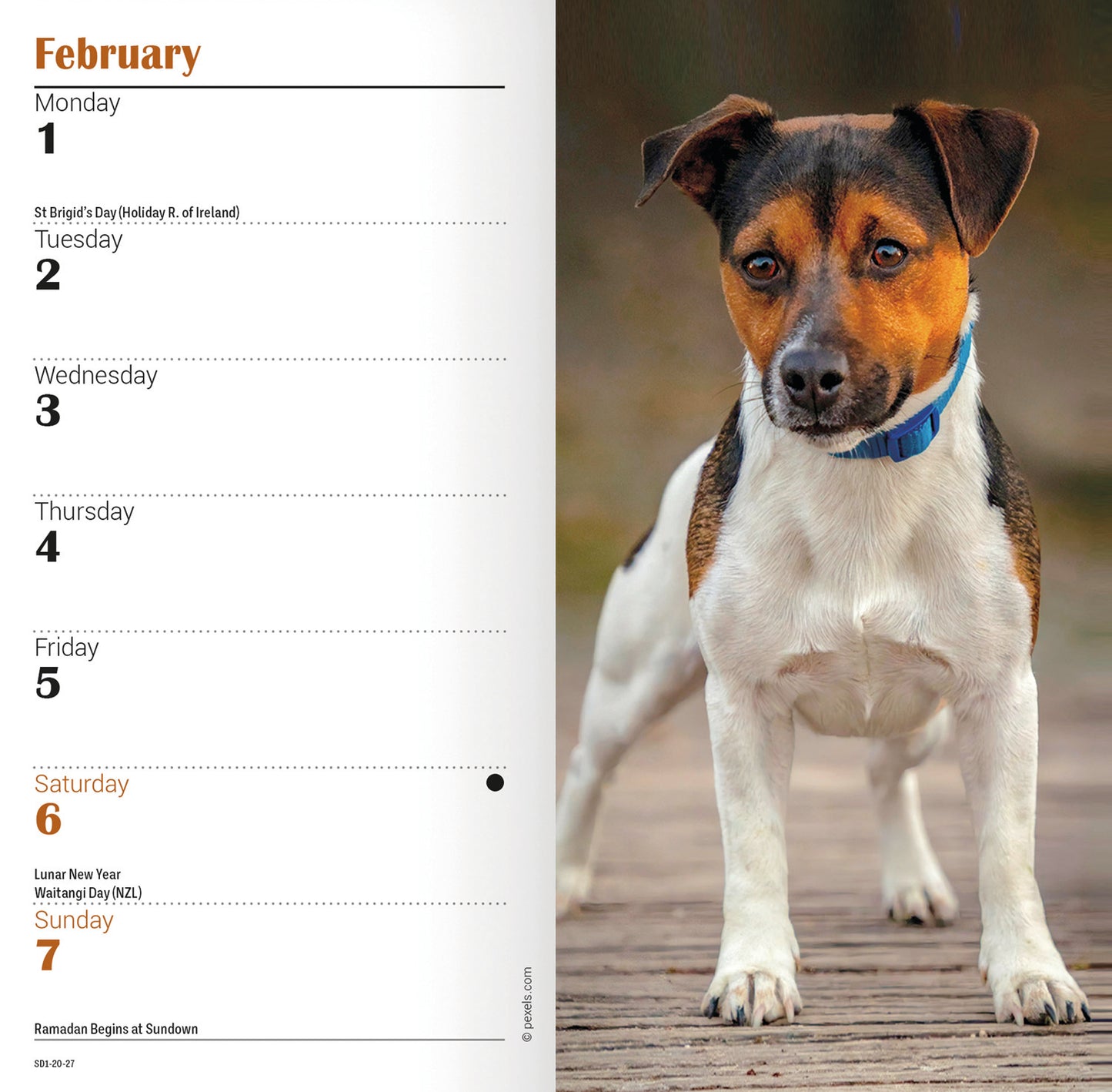 Jack Russell Terriers Slim Diary 2027