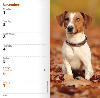 Jack Russell Terriers Slim Diary 2027