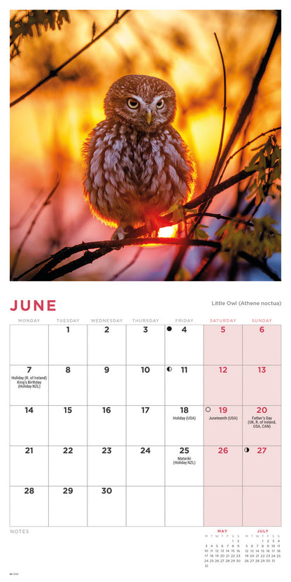Owls Mini Calendar 2027