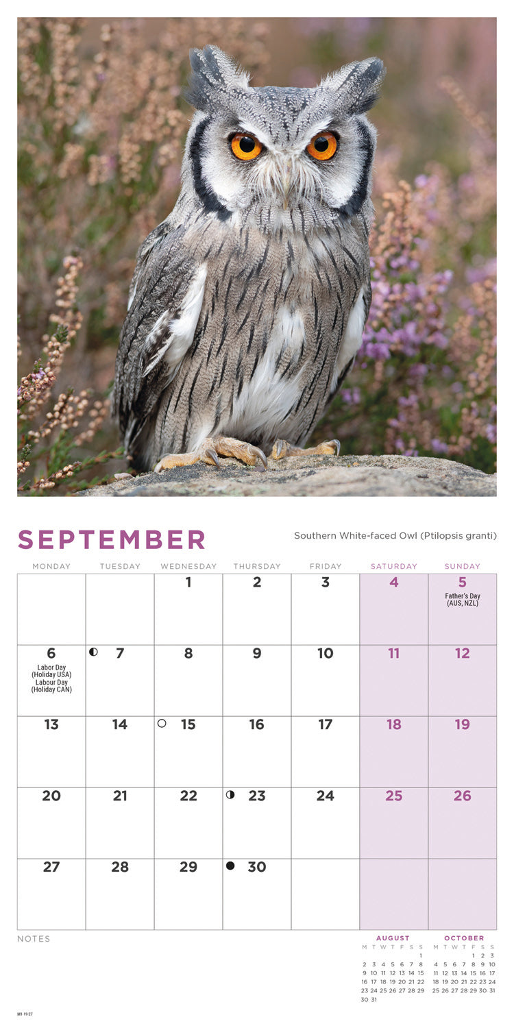 Owls Mini Calendar 2027