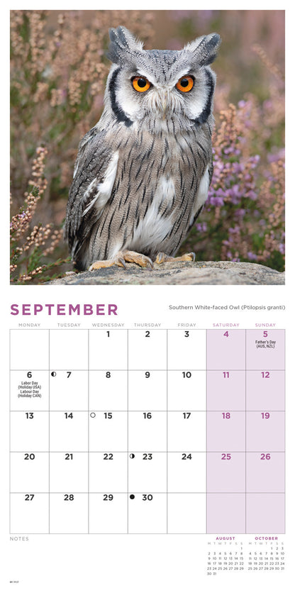 Owls Mini Calendar 2027