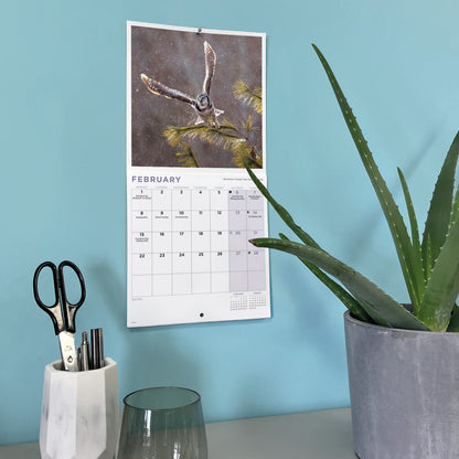 Owls Mini Calendar 2027