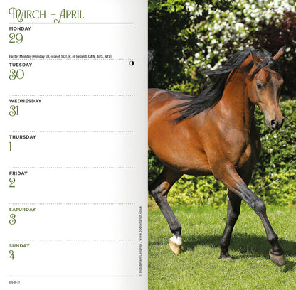 Horses Slim Diary 2027