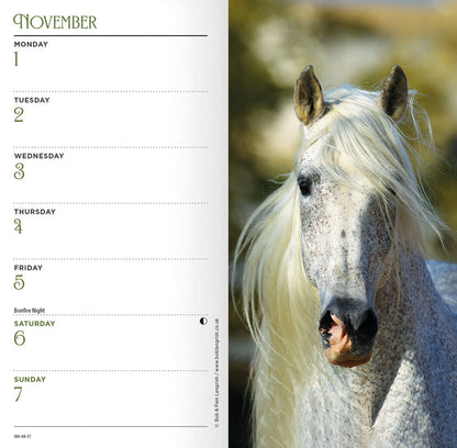 Horses Slim Diary 2027