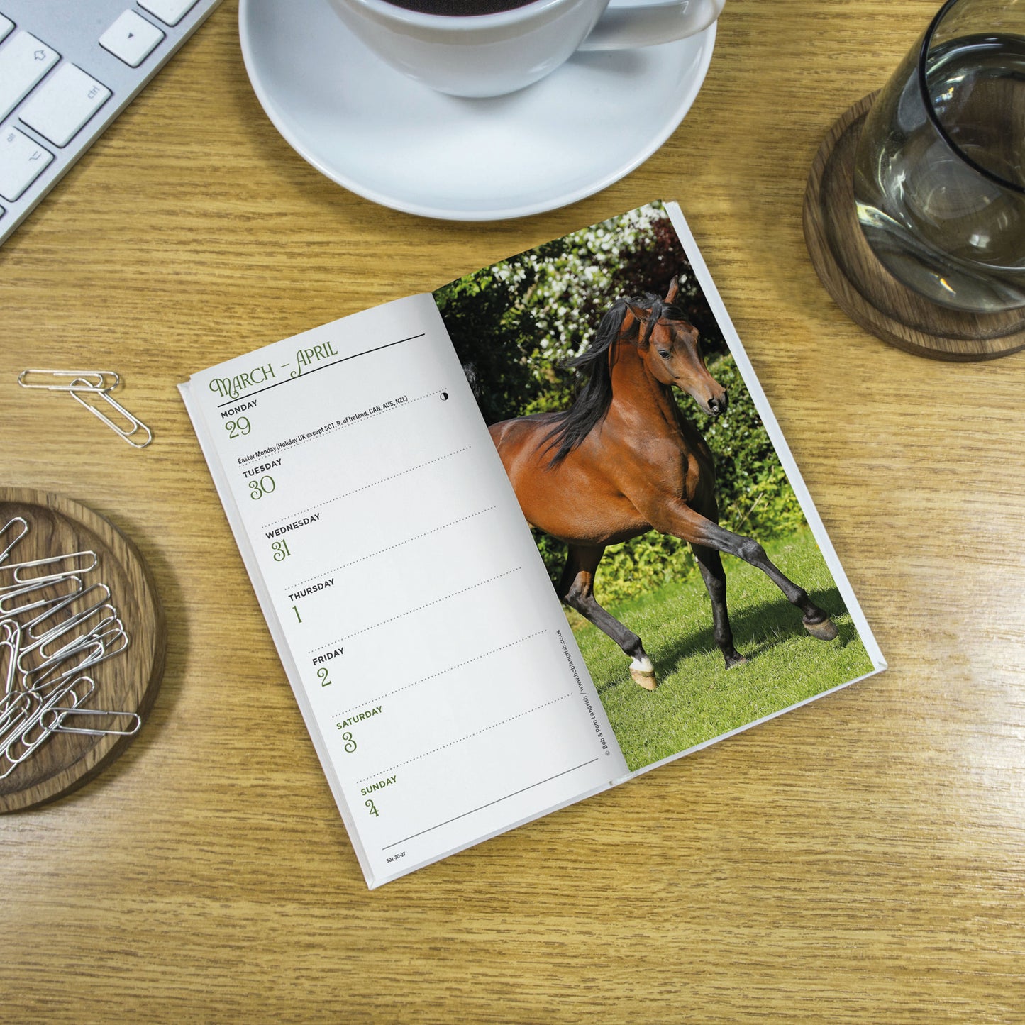 Horses Slim Diary 2027