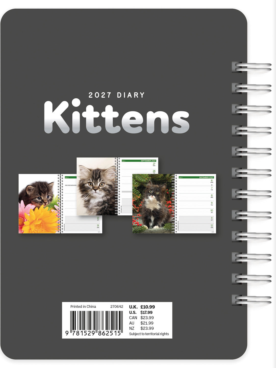Kittens A5 Diary 2027