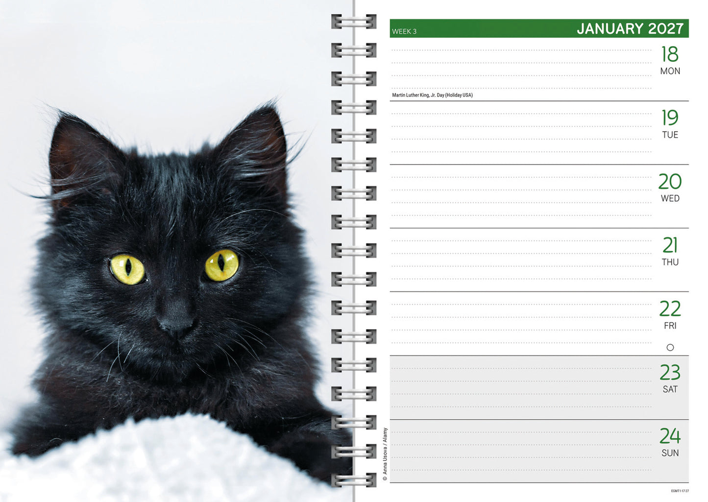 Kittens A5 Diary 2027