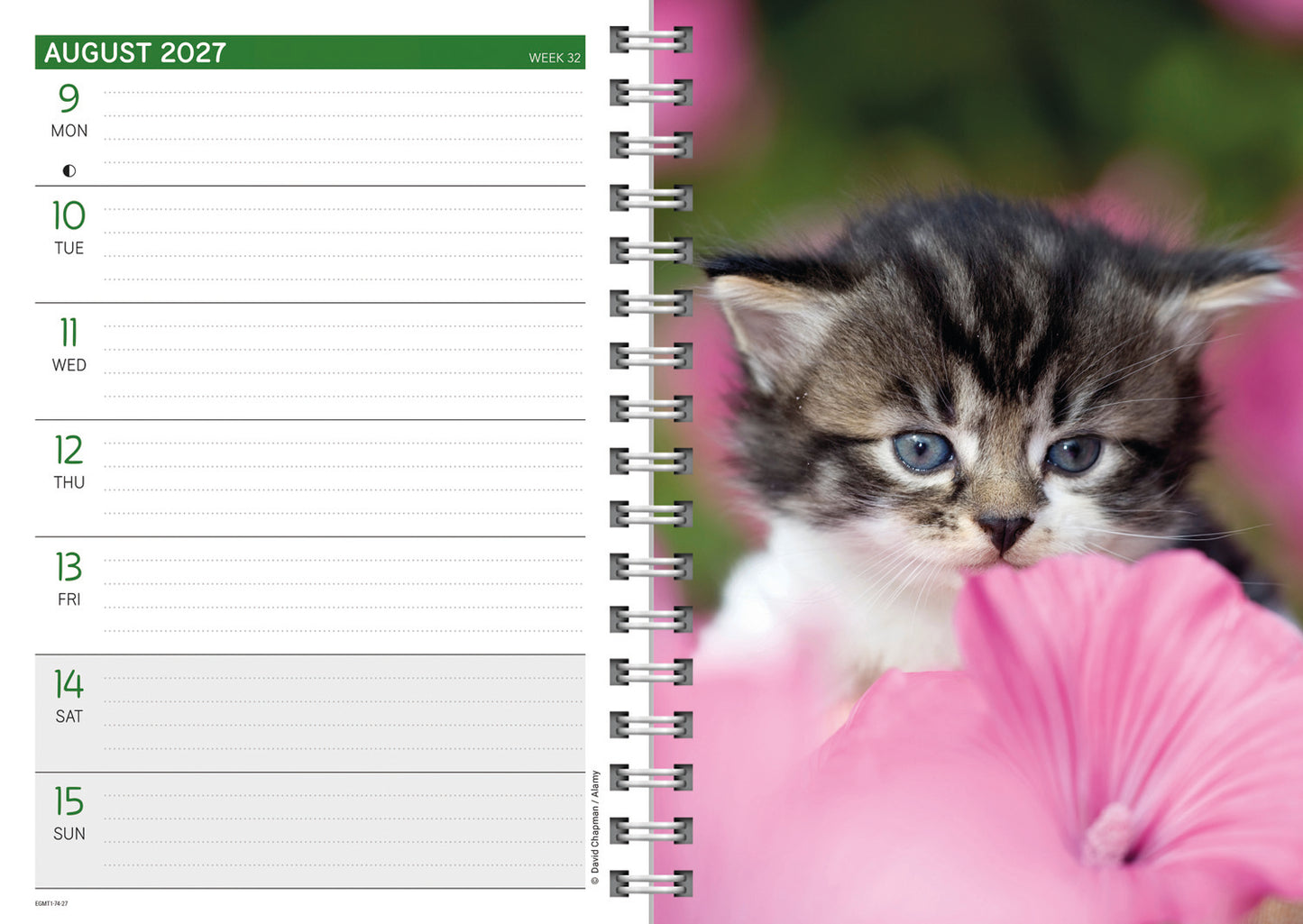 Kittens A5 Diary 2027