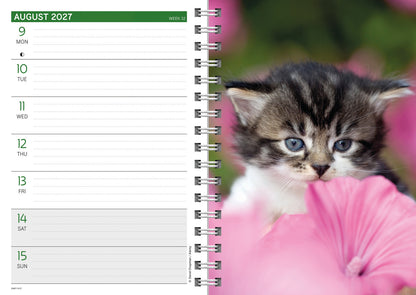 Kittens A5 Diary 2027