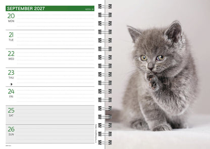 Kittens A5 Diary 2027