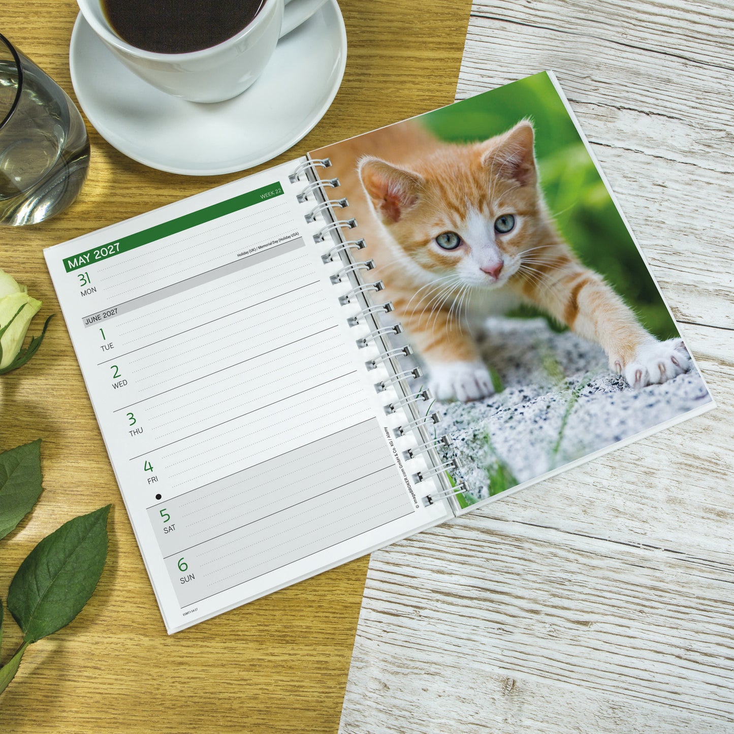 Kittens A5 Diary 2027