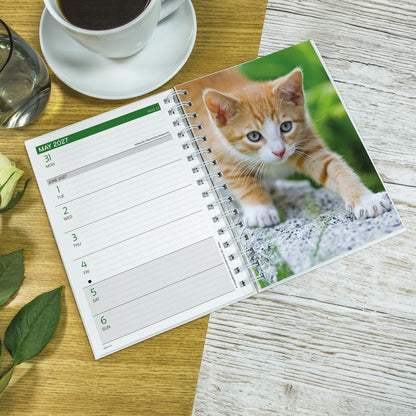 Kittens A5 Diary 2027