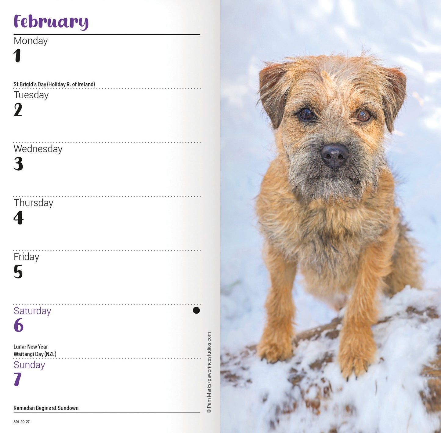 Border Terriers Slim Diary 2027
