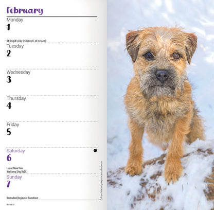 Border Terriers Slim Diary 2027