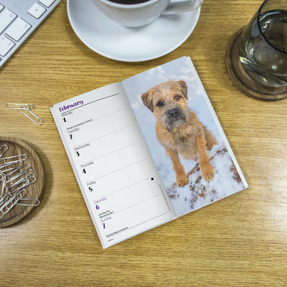 Border Terriers Slim Diary 2027