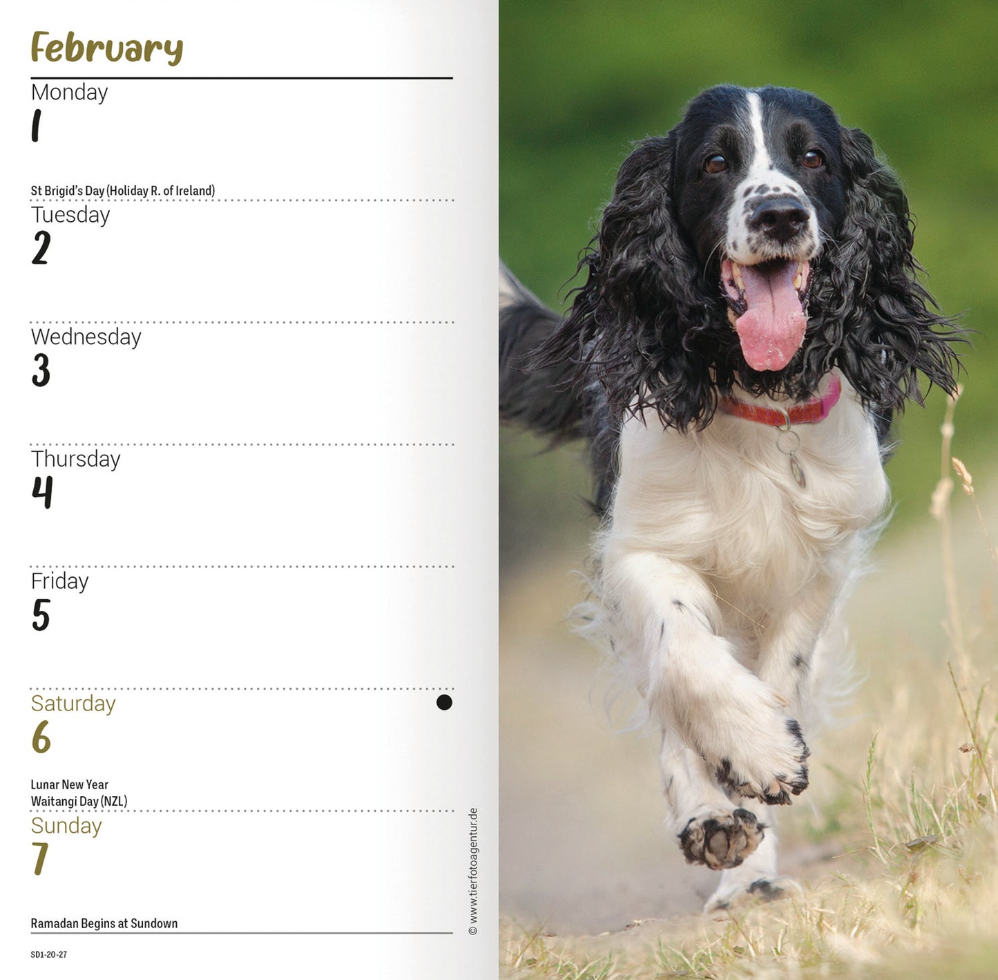 English Springer Spaniels Slim Diary 2027