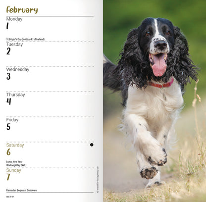 English Springer Spaniels Slim Diary 2027