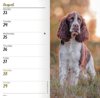 English Springer Spaniels Slim Diary 2027