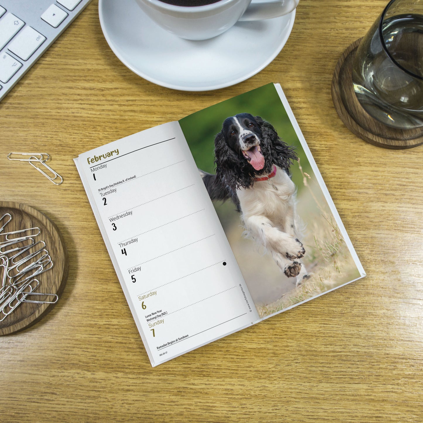 English Springer Spaniels Slim Diary 2027