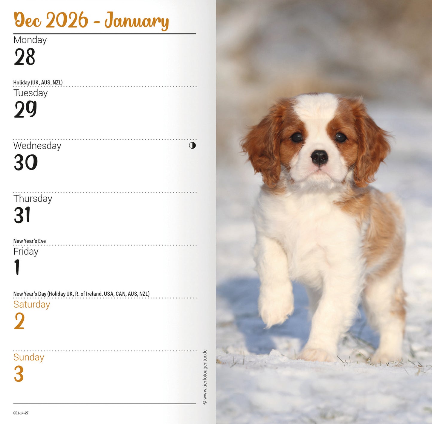 Cavalier King Charles Spaniels Slim Diary 2027