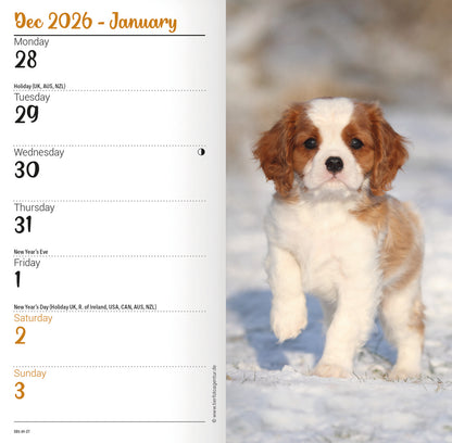 Cavalier King Charles Spaniels Slim Diary 2027