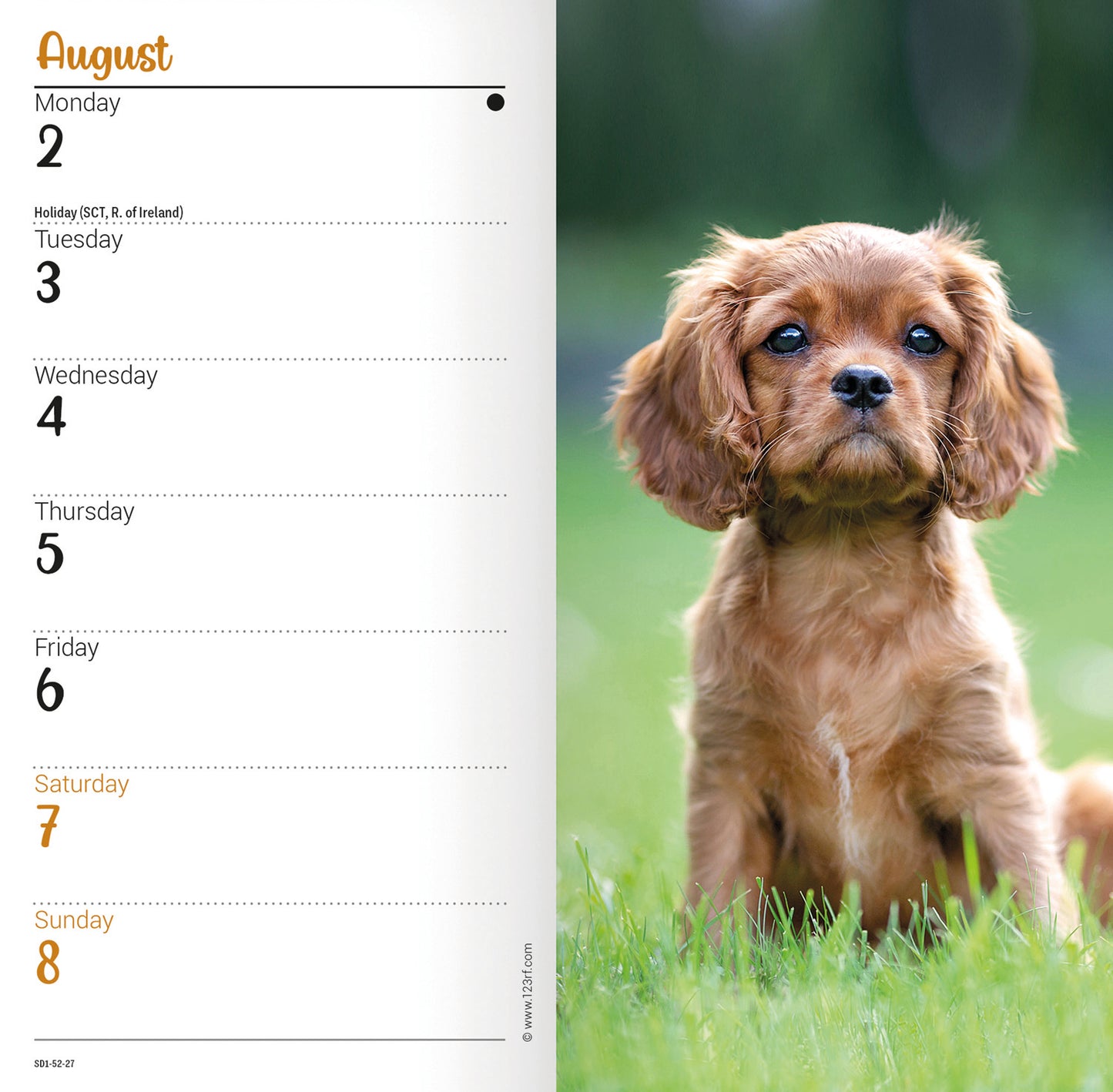 Cavalier King Charles Spaniels Slim Diary 2027