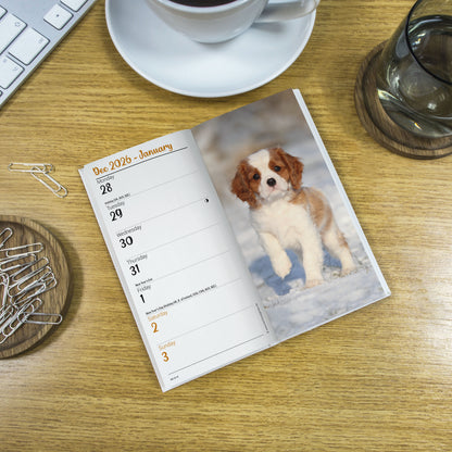 Cavalier King Charles Spaniels Slim Diary 2027