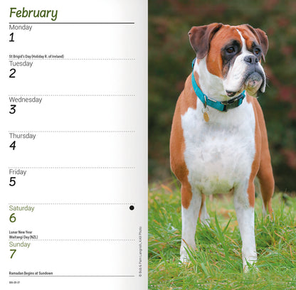 Boxers Slim Diary 2027