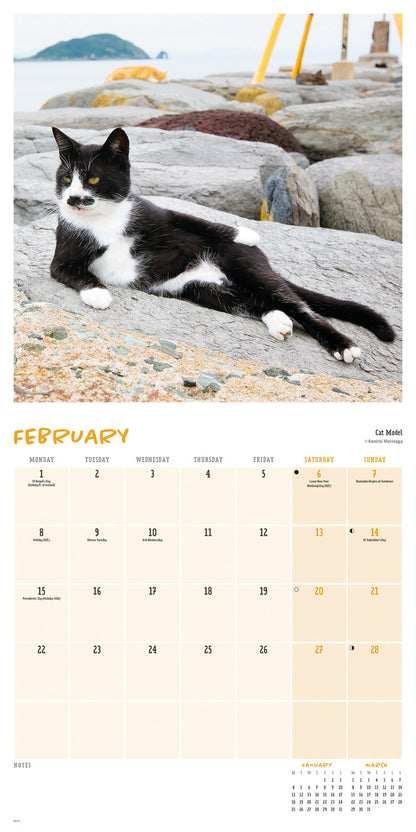 Comedy Pet Photography Awards Wall Calendar 2027