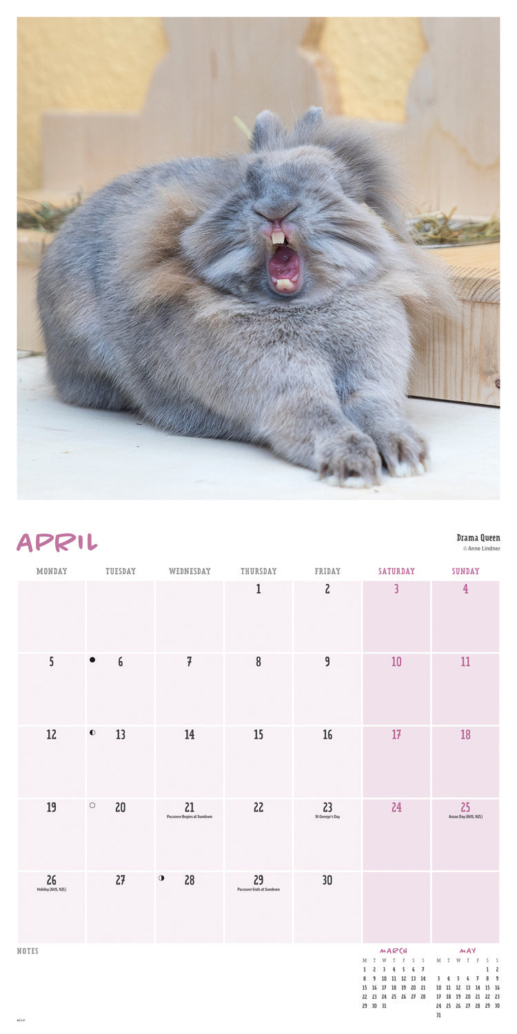 Comedy Pet Photography Awards Wall Calendar 2027