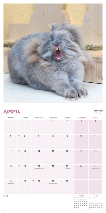 Comedy Pet Photography Awards Wall Calendar 2027