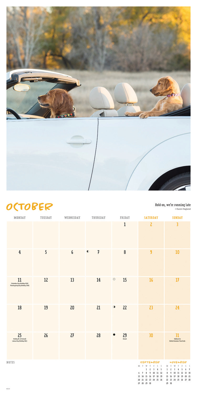 Comedy Pet Photography Awards Wall Calendar 2027