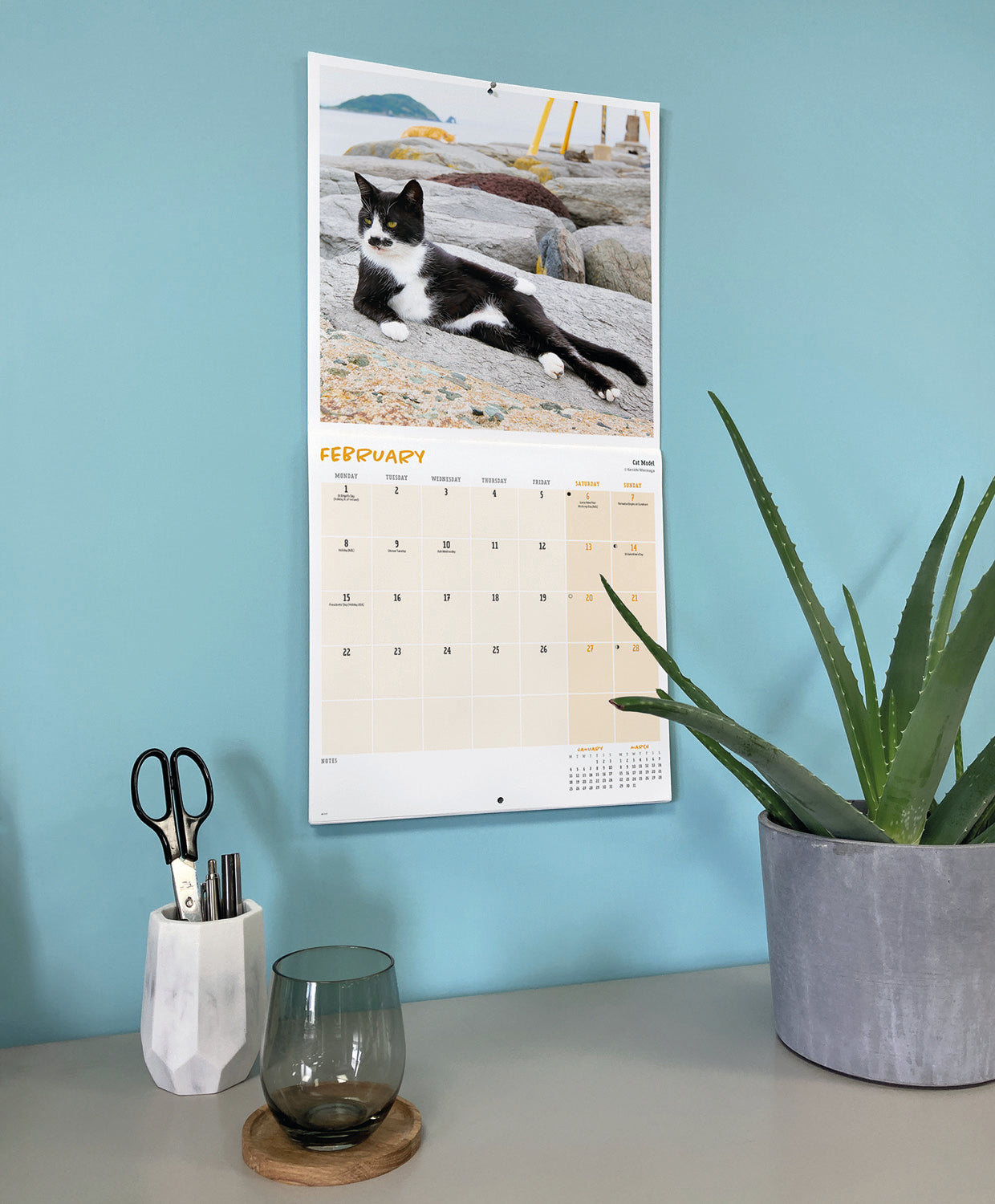 Comedy Pet Photography Awards Wall Calendar 2027
