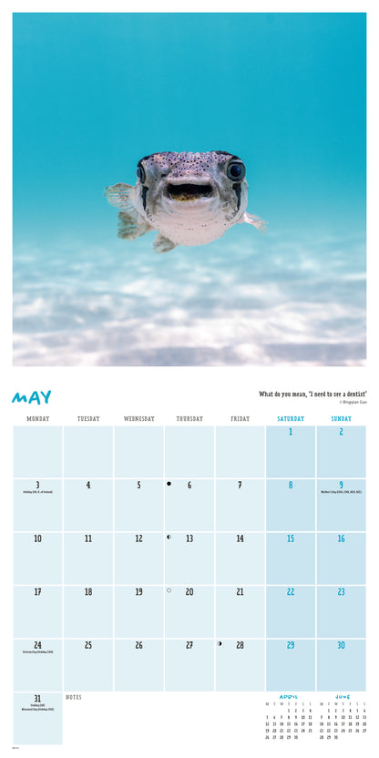 Comedy Wildlife Photography Awards Wall Calendar 2027