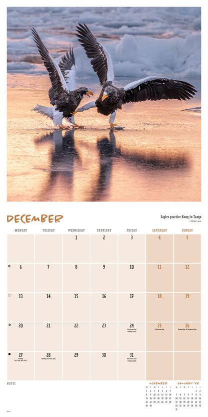Comedy Wildlife Photography Awards Wall Calendar 2027