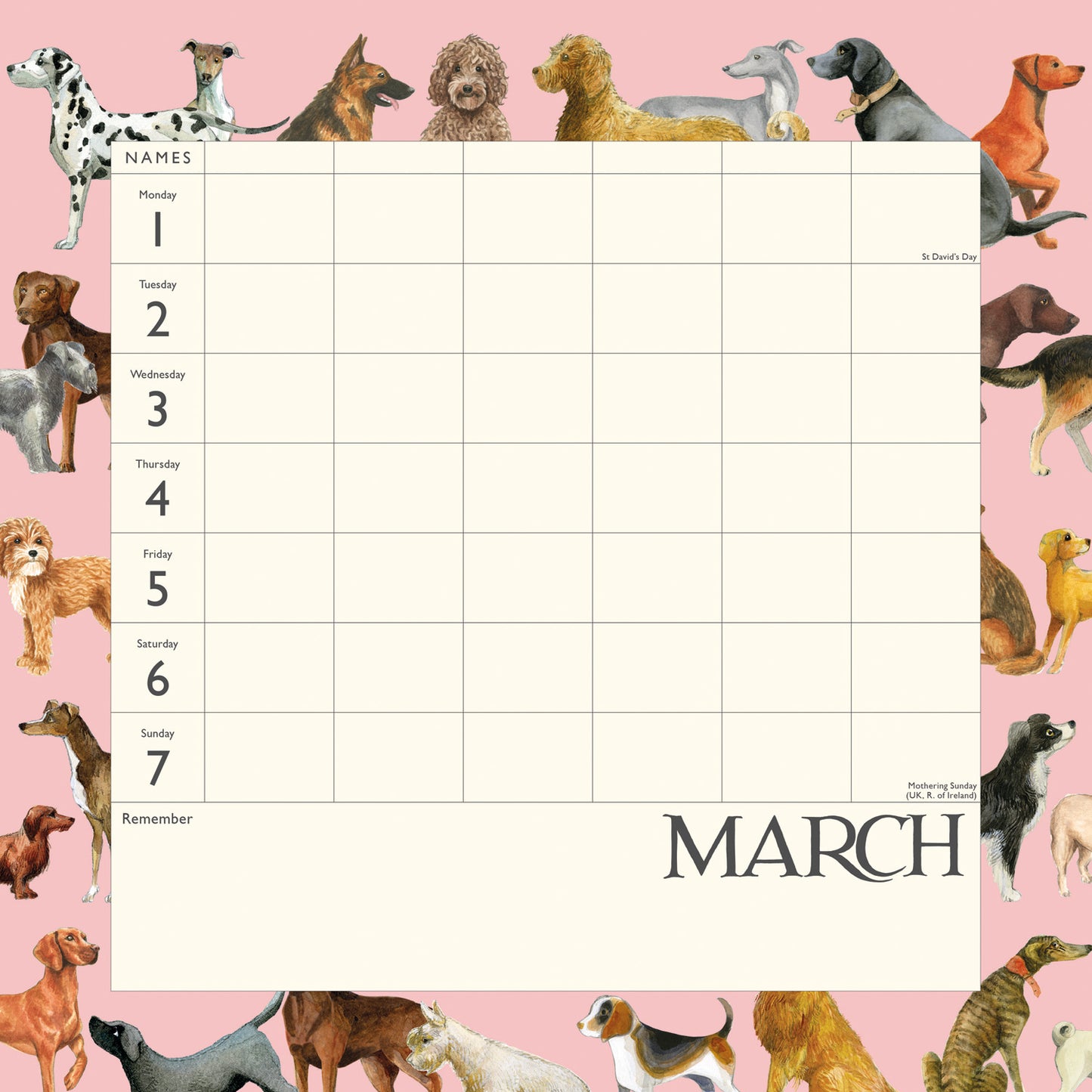 Emma Bridgewater Dates Dinners & Dog Walks WT Planner Wall Calendar 2027