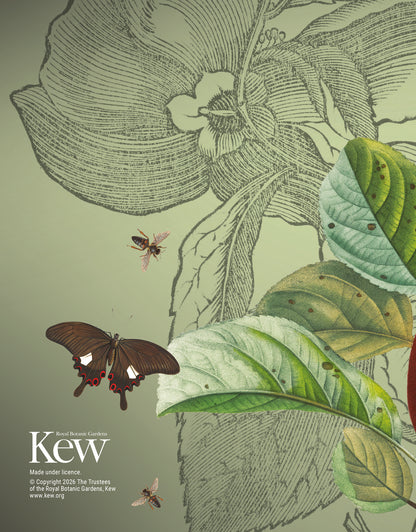 Royal Botanic Gardens Kew Deluxe Diary 2027