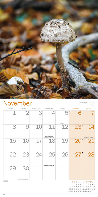 Royal Botanic Gardens Kew Kew in Colour Wall Calendar 2027
