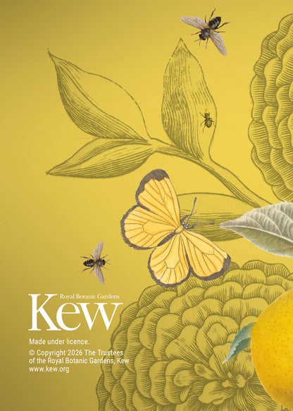 Royal Botanic Gardens Kew A6 Diary 2027