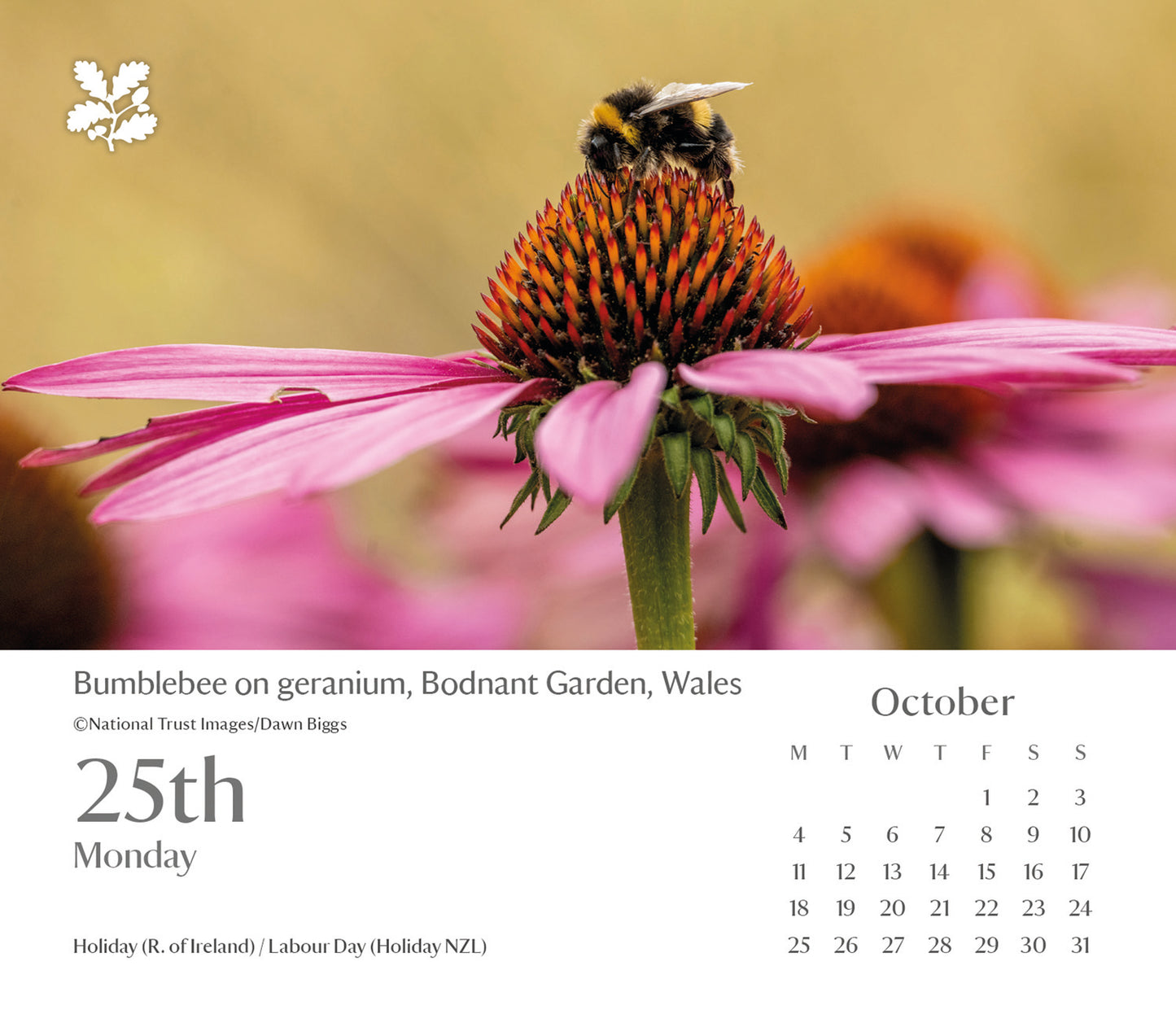 National Trust, Escape Box Calendar 2027