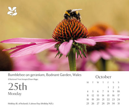 National Trust, Escape Box Calendar 2027