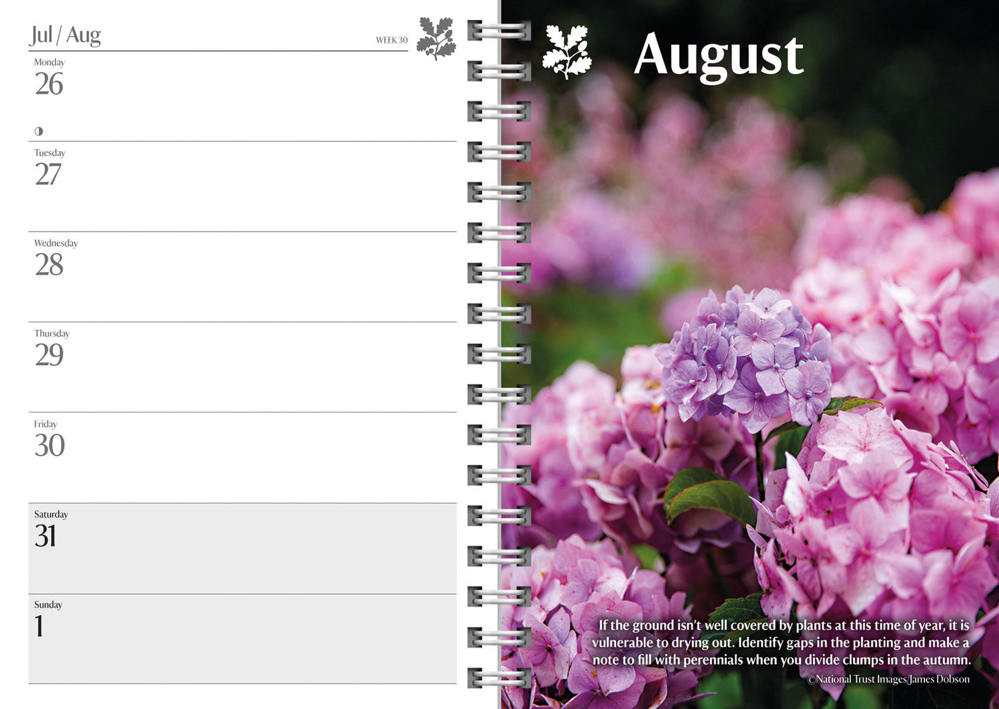 Gardening National Trust Deluxe Diary 2027