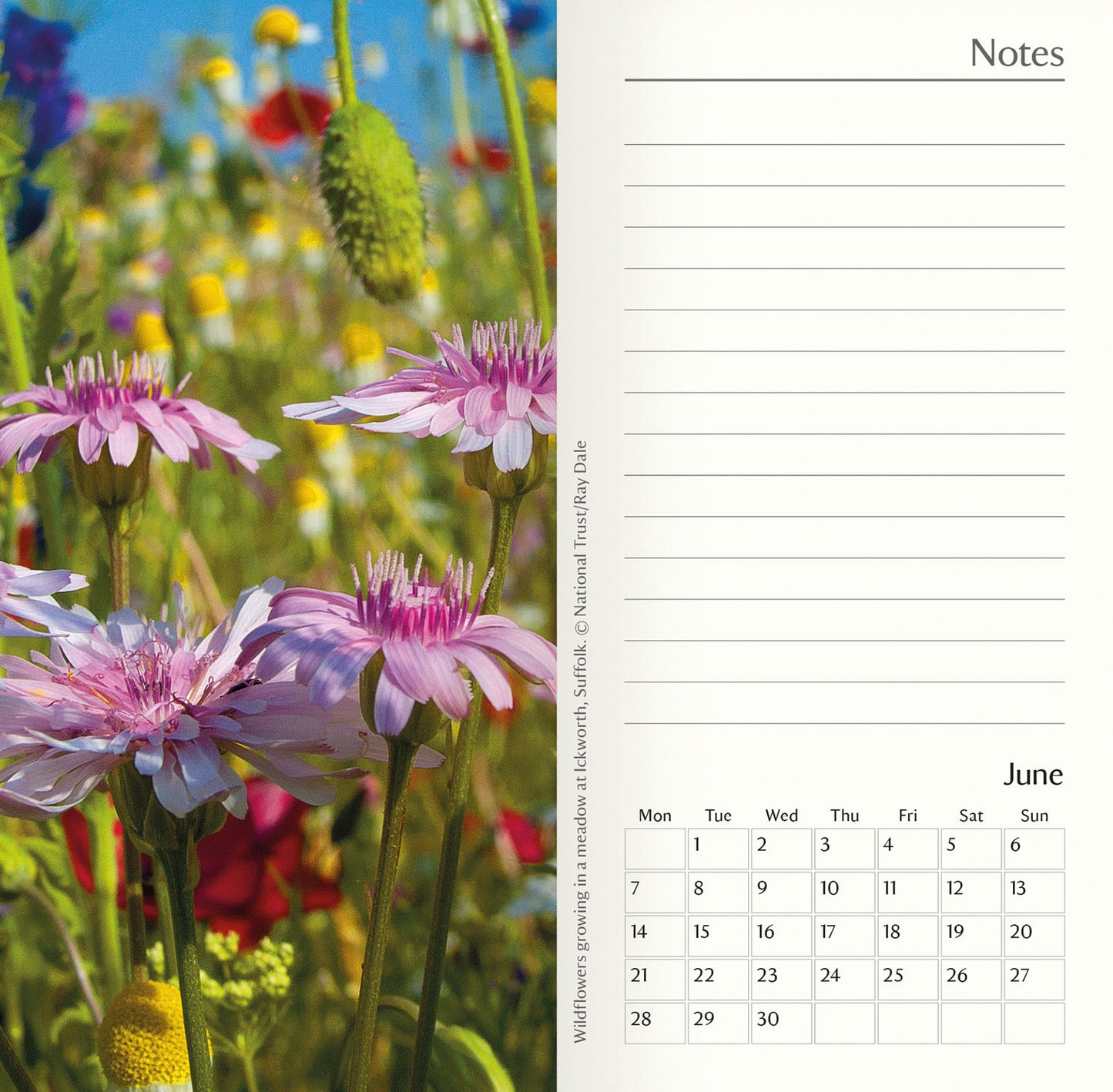 National Trust Slim Diary 2027