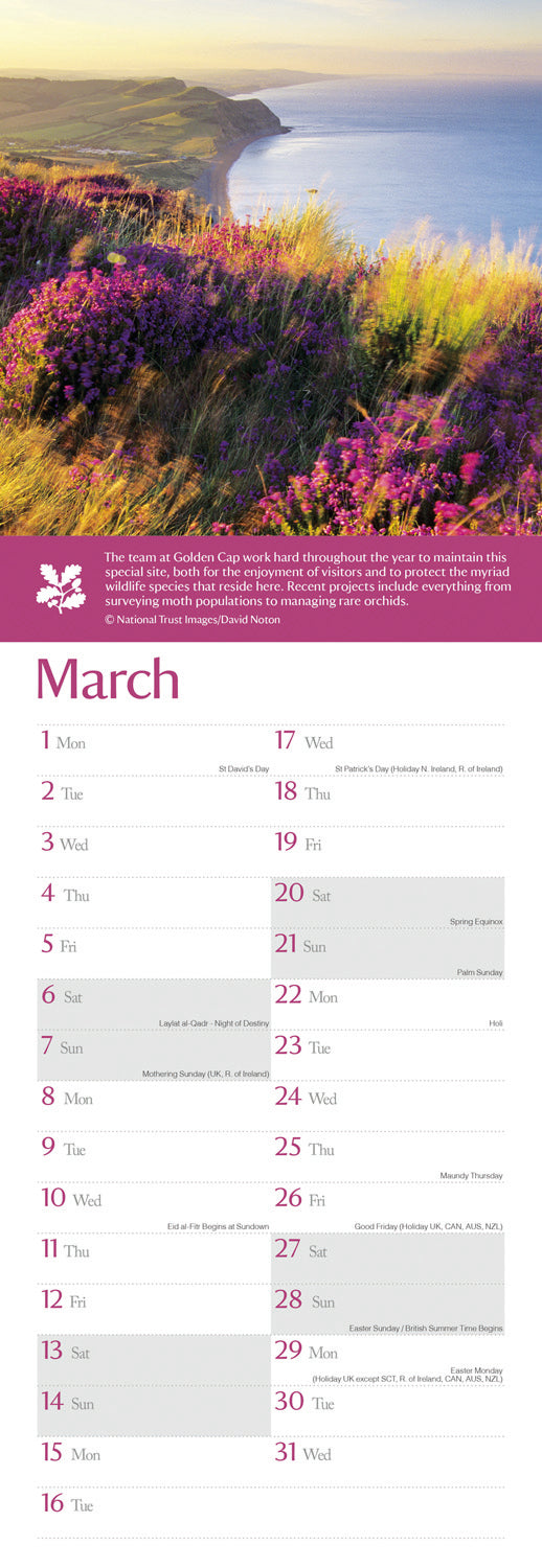 Coast & Countryside National Trust Slim Calendar 2027
