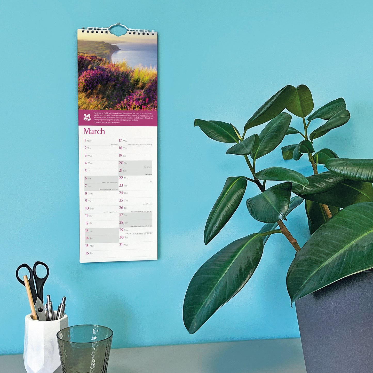 Coast & Countryside National Trust Slim Calendar 2027