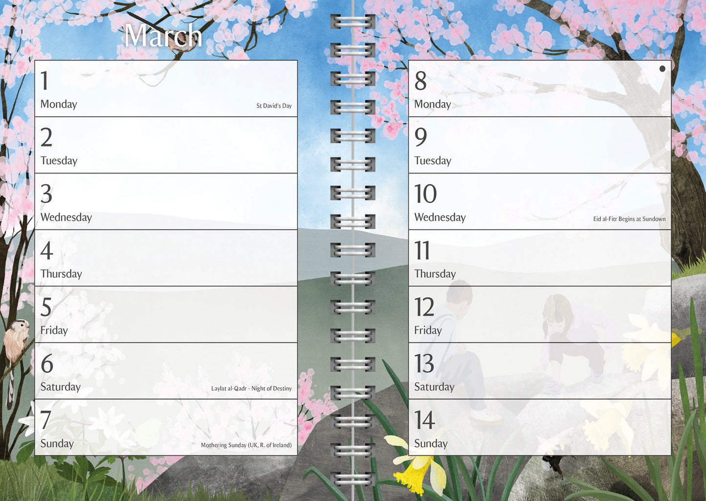 National Trust Illustrated Deluxe Diary 2027